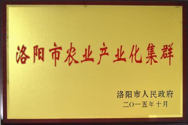 洛陽(yáng)市農業(yè)產(chǎn)業(yè)化集群