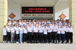 總結過(guò)去，計劃未來(lái)，協(xié)同創(chuàng  )新，再創(chuàng  )佳績(jì)！洛陽(yáng)正大舉行2023年上半年工作總結會(huì )議